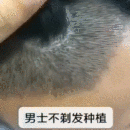 發(fā)際線用戶圖片