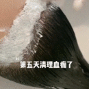 發(fā)際線用戶圖片